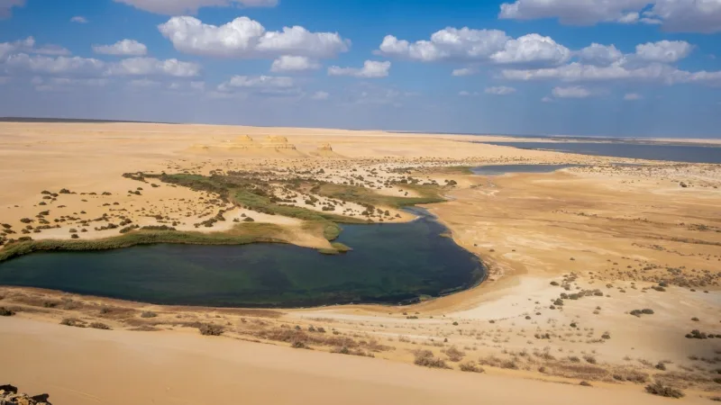 2 Day Trip to Fayoum & Wadi Hitan from Cairo